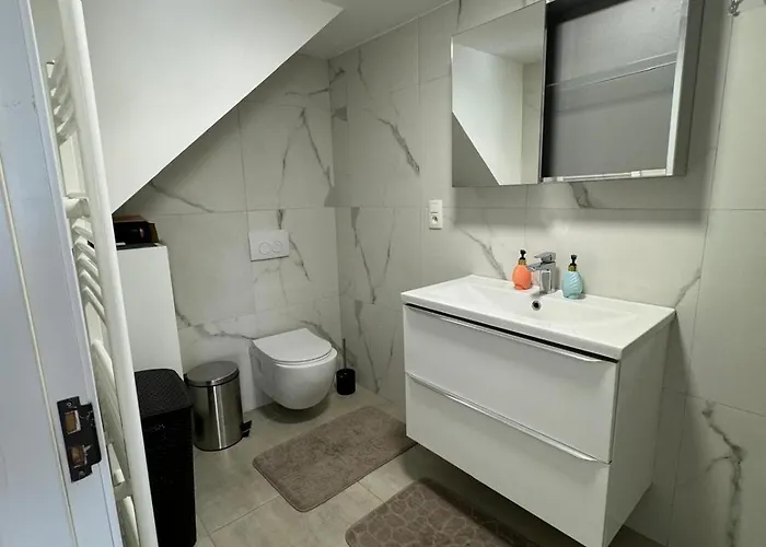 Maison Fontaine Du Saxophone Dinant